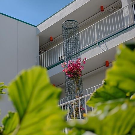 Oasis Inn San Francisco Dış mekan fotoğraf
