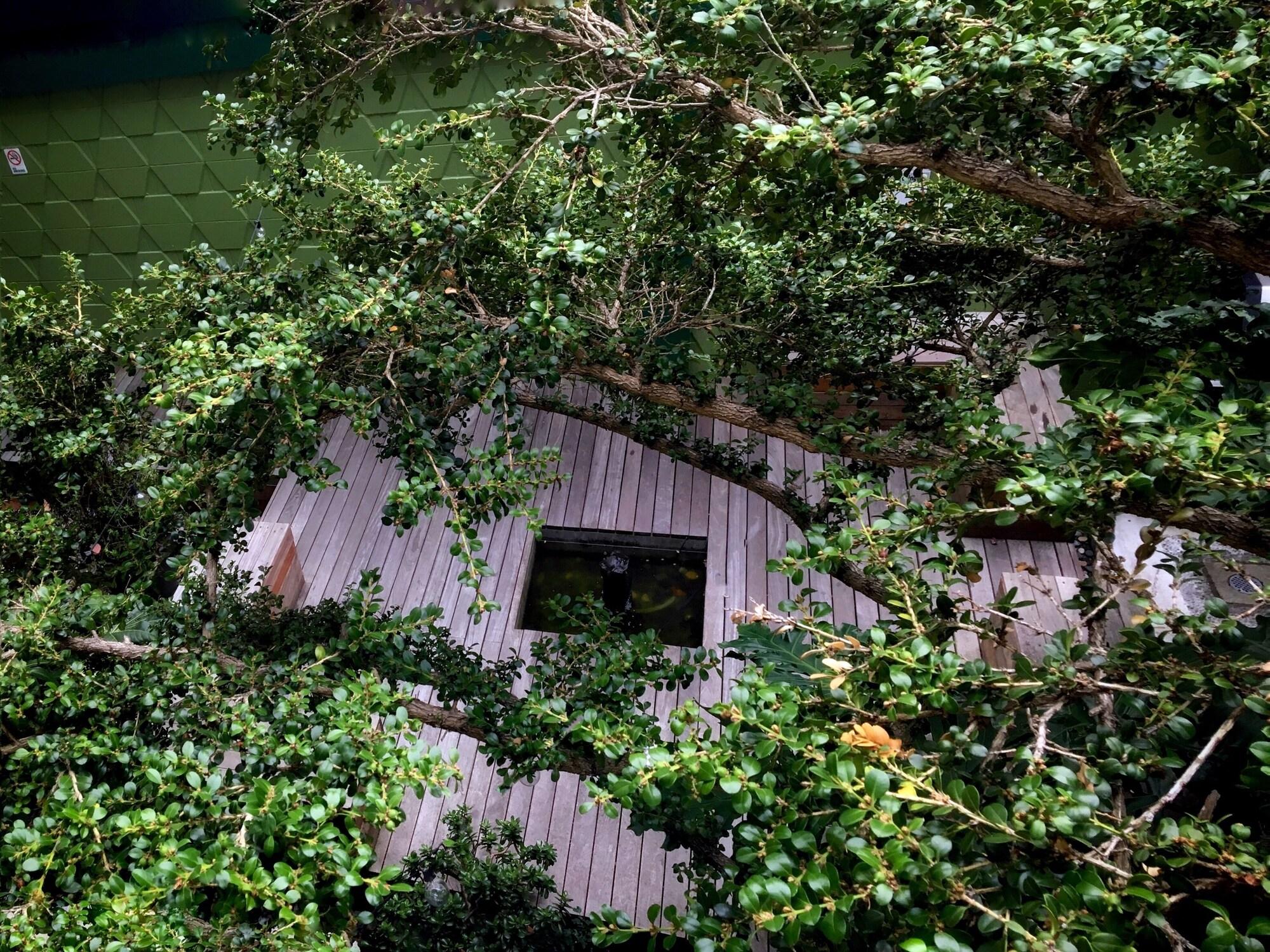 Oasis Inn San Francisco Dış mekan fotoğraf