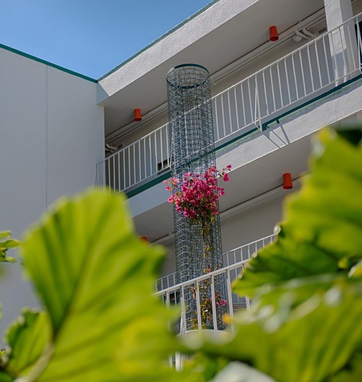 Oasis Inn San Francisco Dış mekan fotoğraf