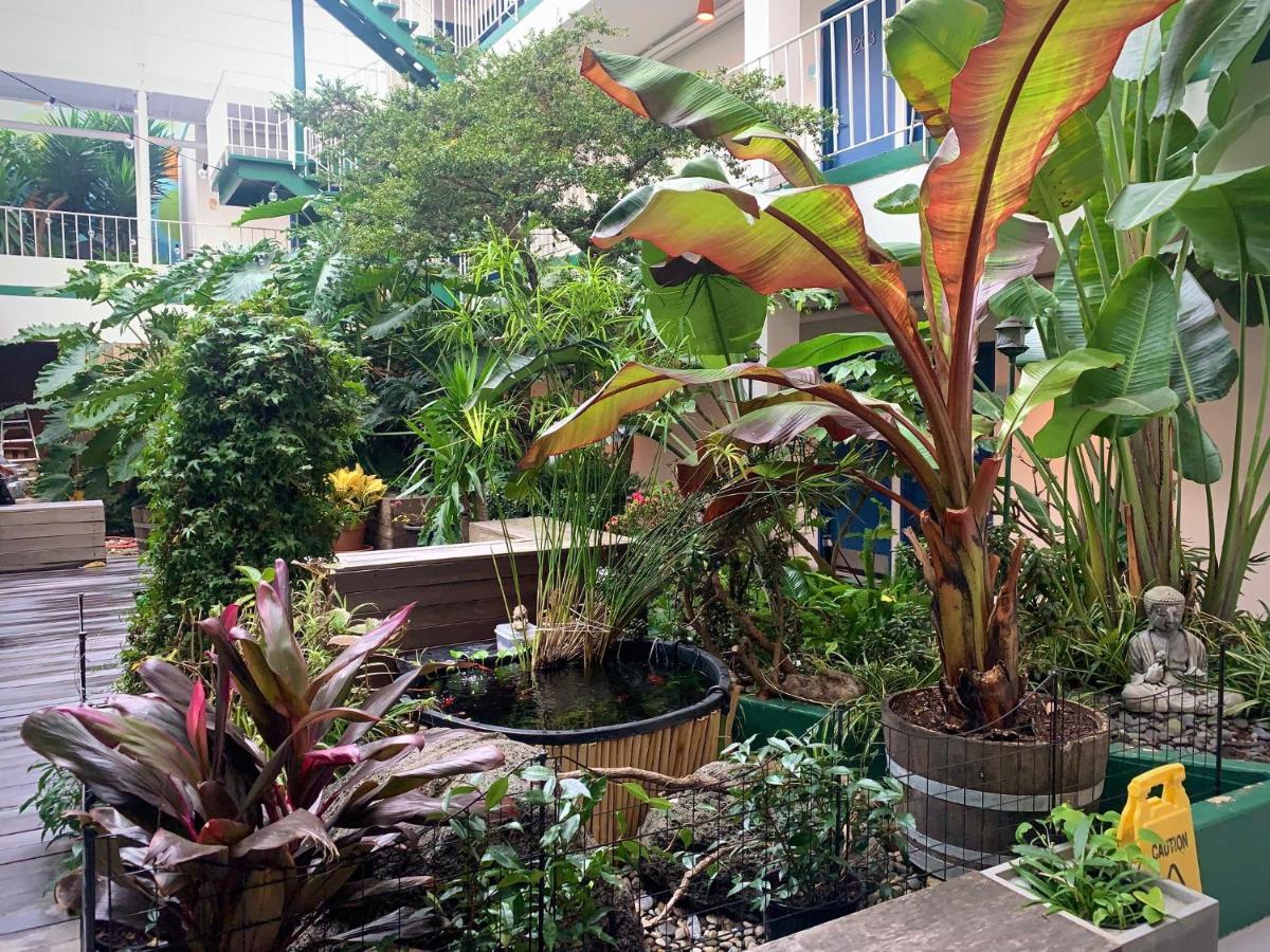 Oasis Inn San Francisco Dış mekan fotoğraf